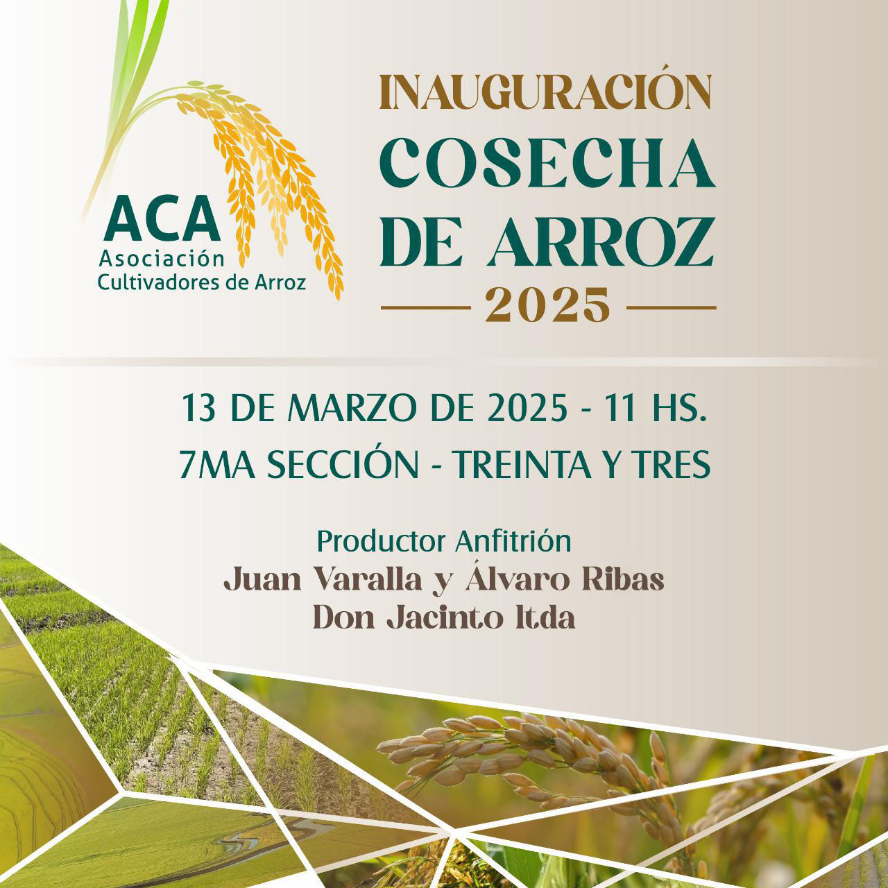 Imagen de WhatsApp 2025-02-11 a las 12.59.44_083ace2b