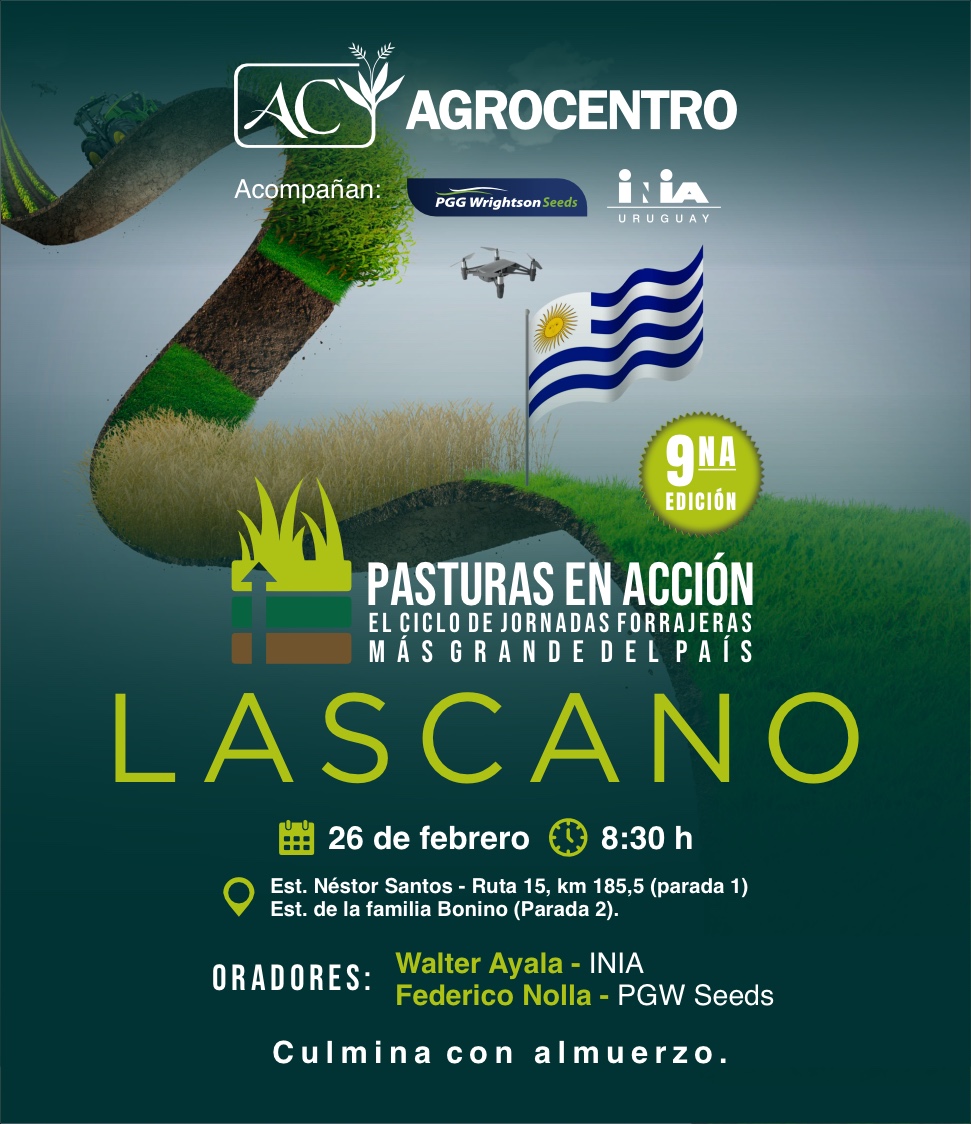 Imagen de WhatsApp 2025-02-20 a las 14.17.55_33220352