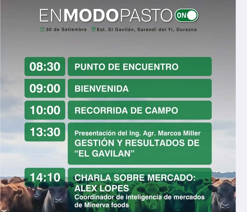 En modo pasto_Agrofuturo