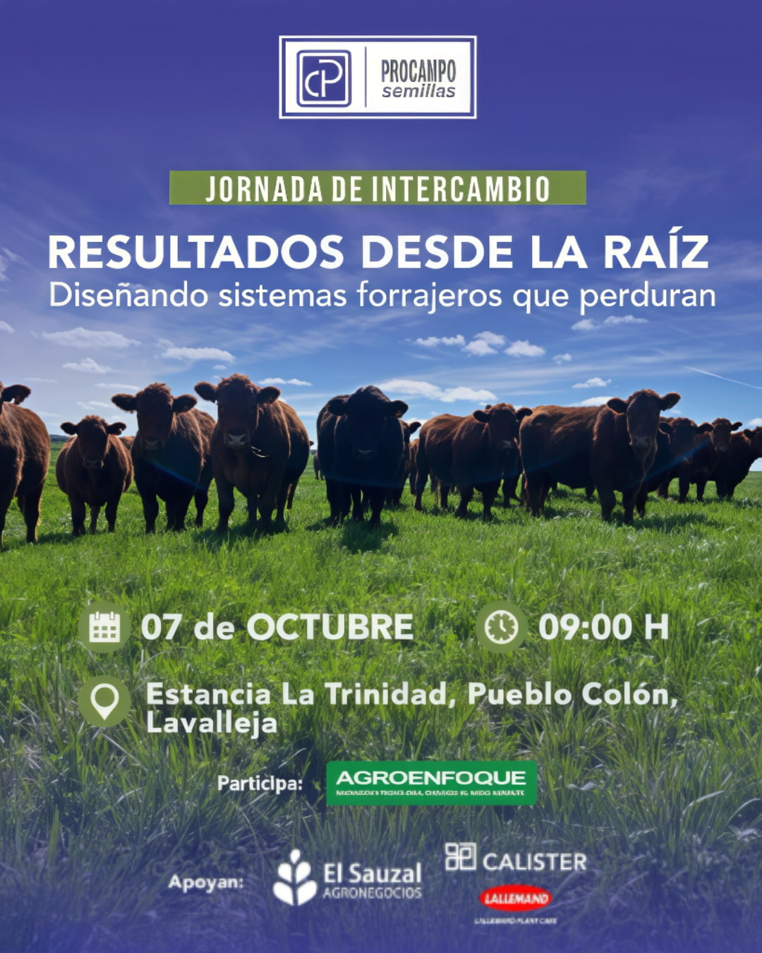 Procampo (1)