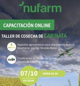 Carinata Nufarm
