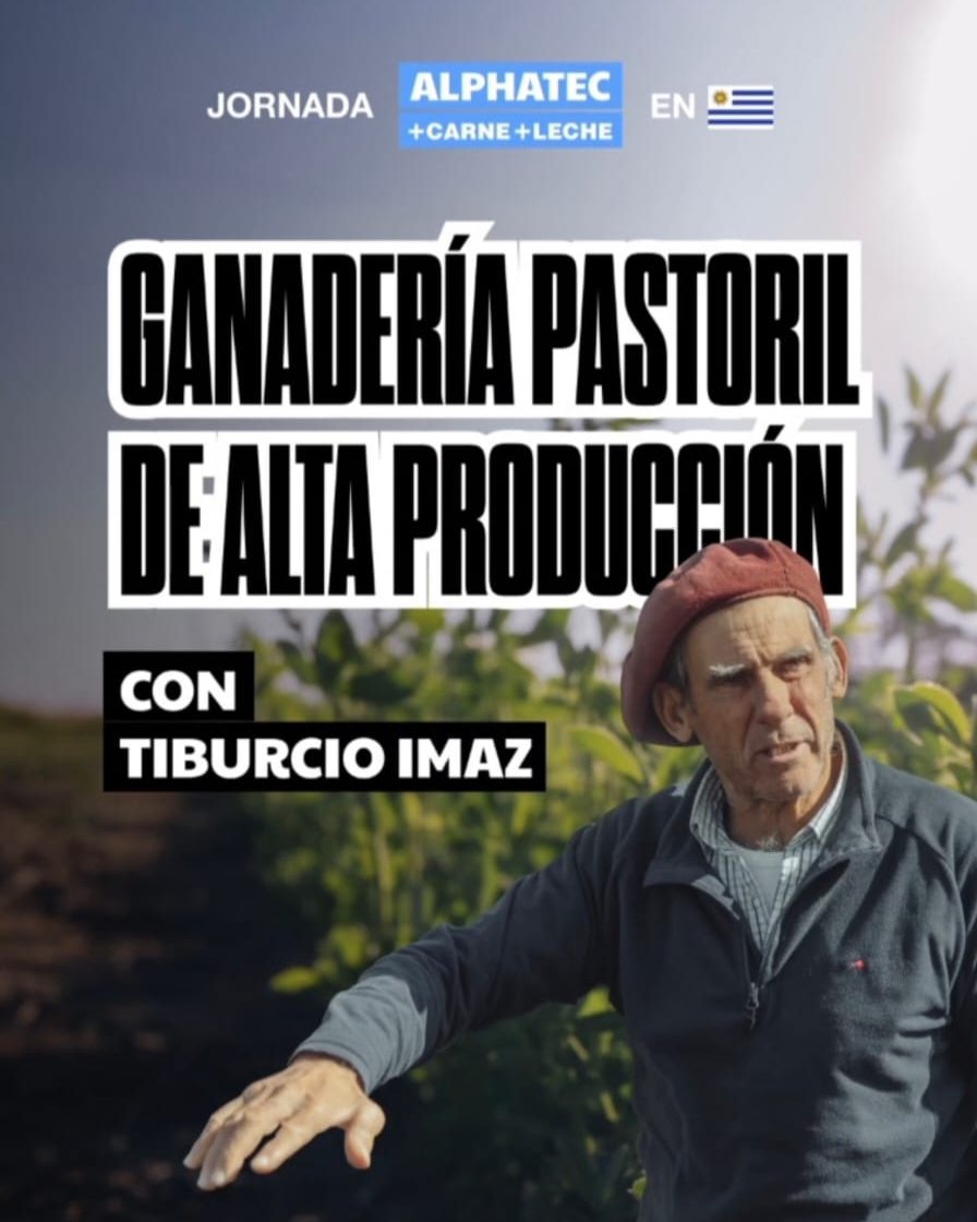 WhatsApp Image 2025-10-31 at 11.29.29