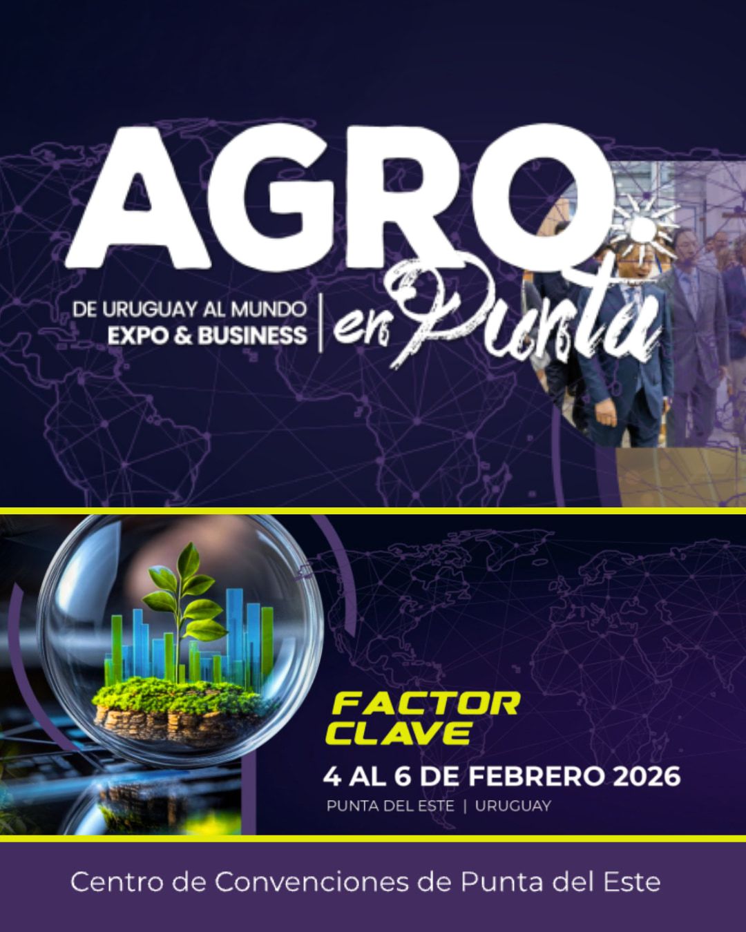 WhatsApp Image 2025-11-17 at 17.39.14