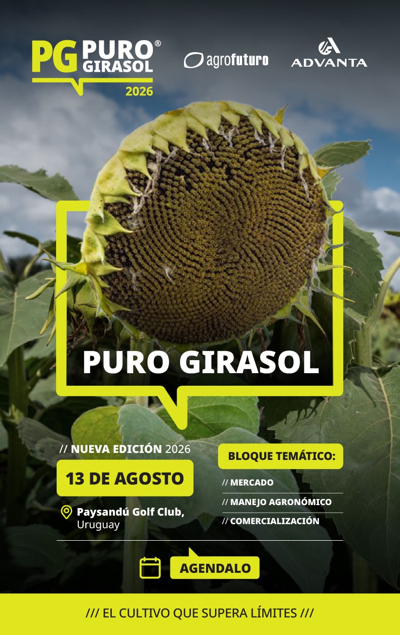 PURO GIRASOL 2026