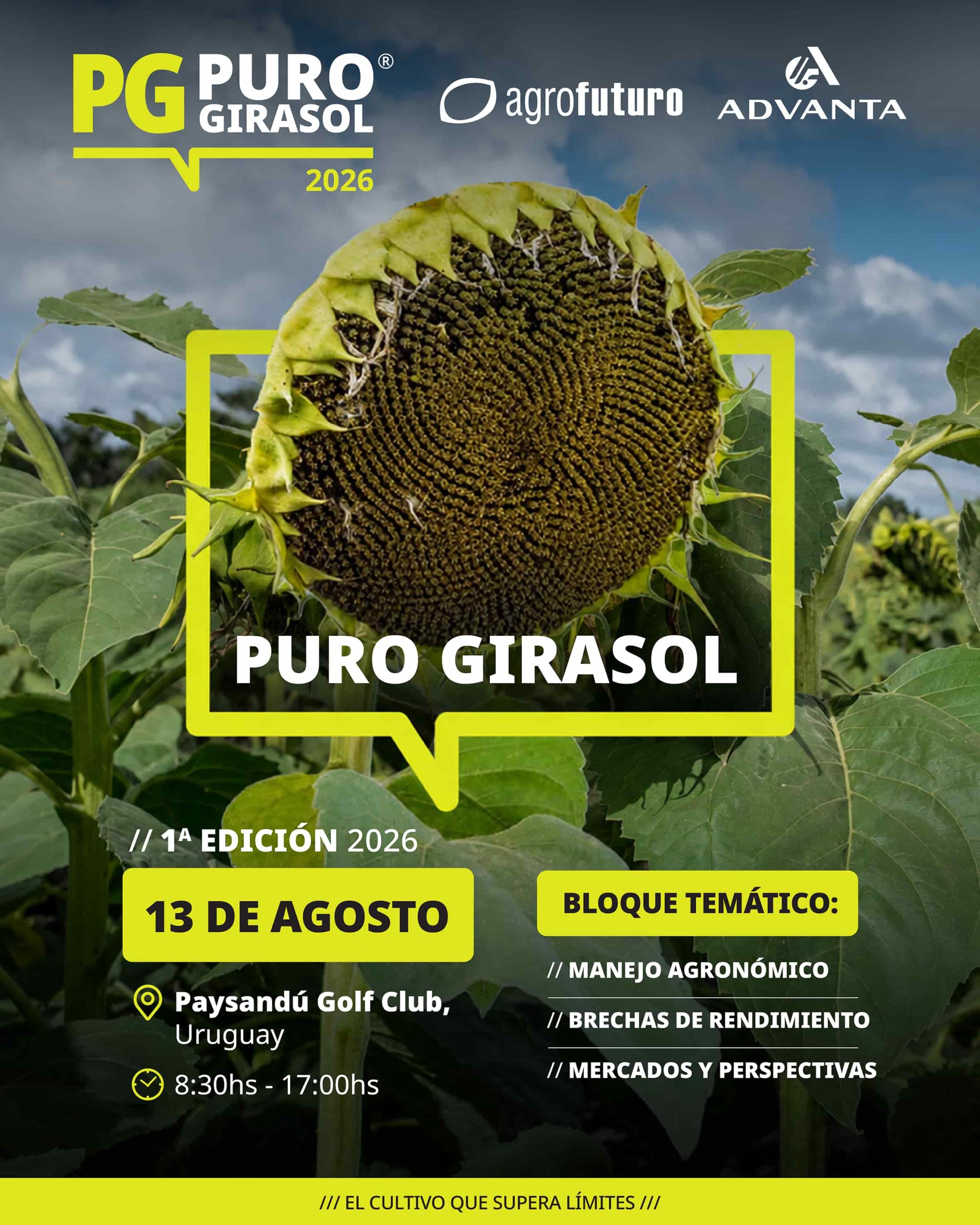 Flyer_Puro Girasol_13072026