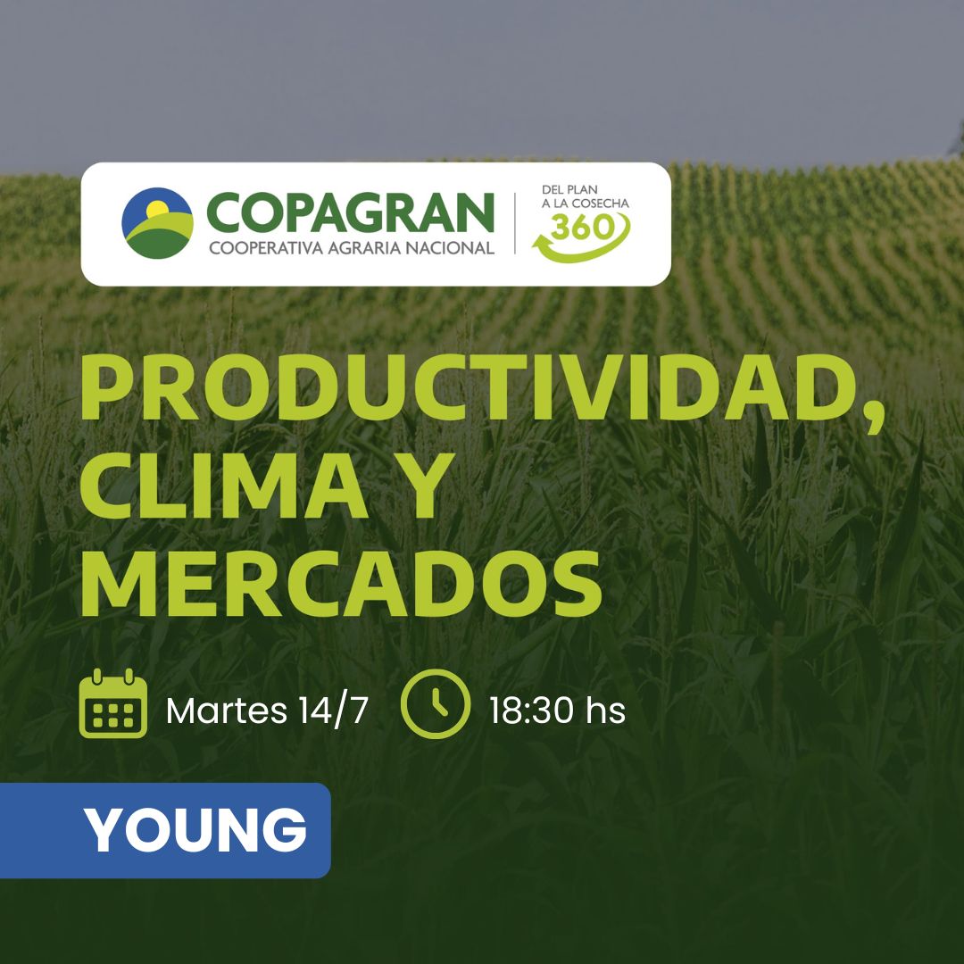 Productividad, clima y mercados (YOUNG)