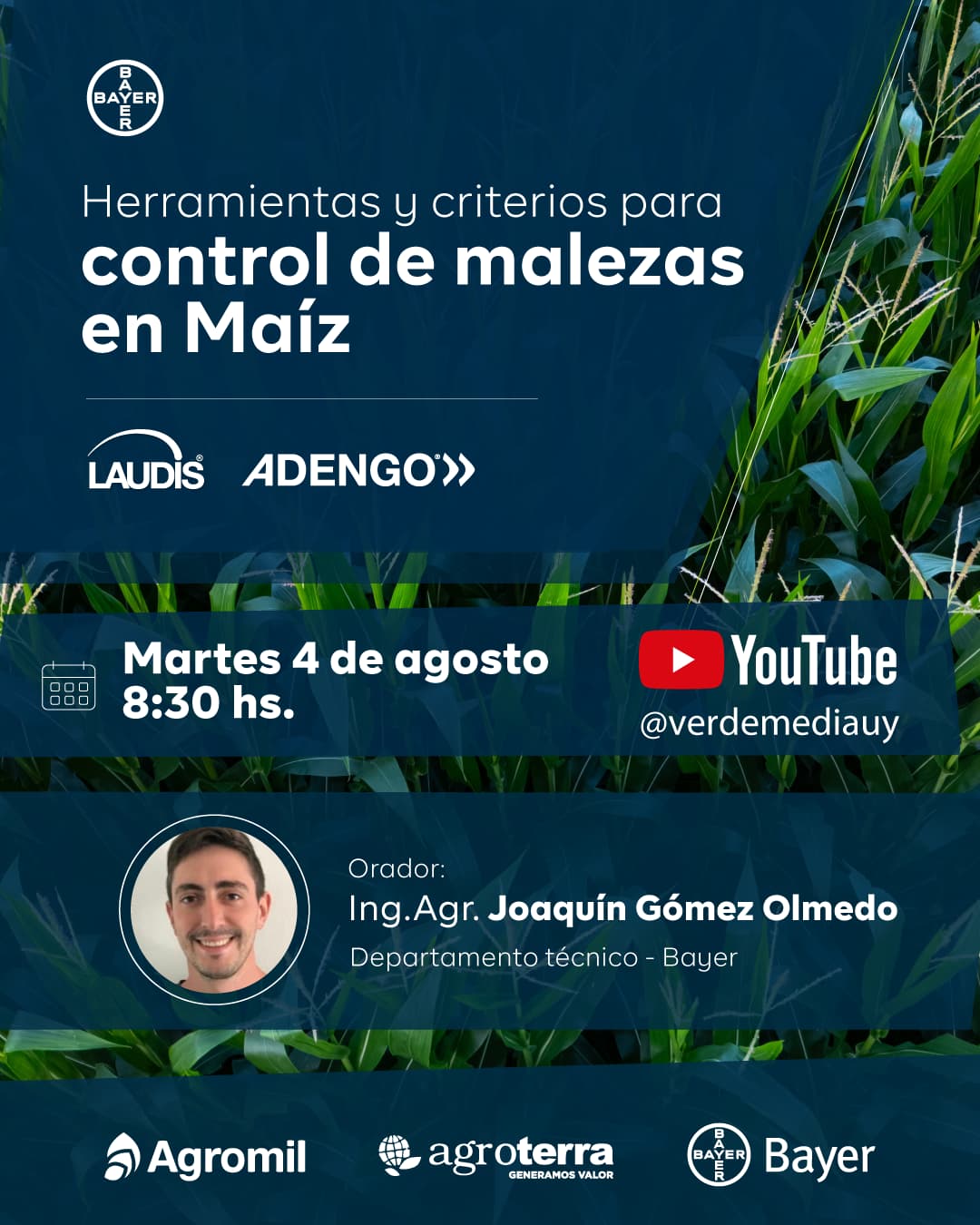 laudis adengo
