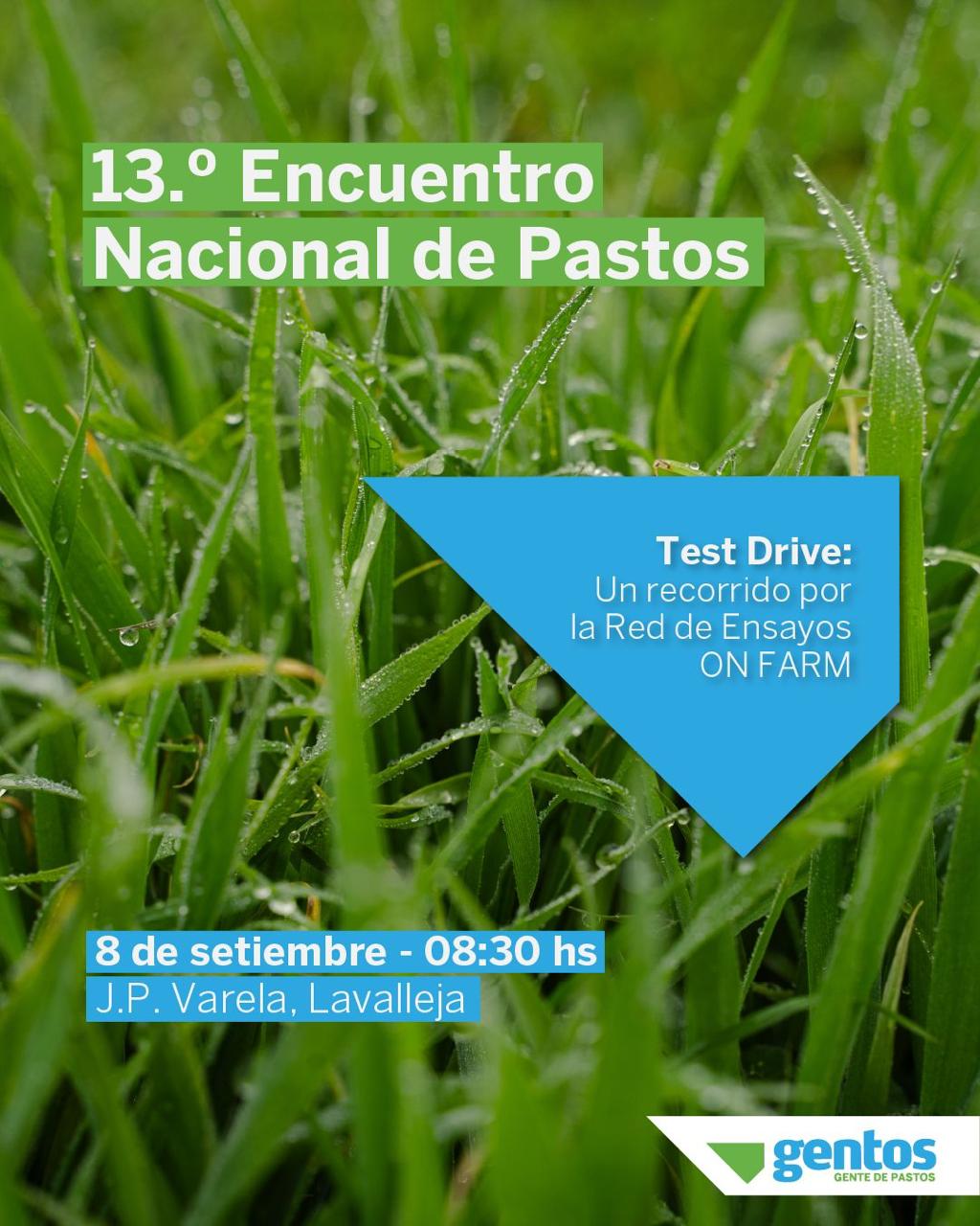 13 Encuentro Nacional de Pastos_GENTOS_8 de setiembre