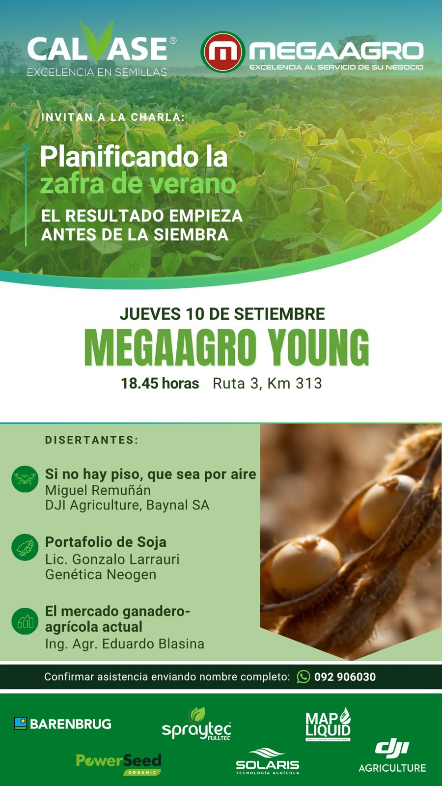 Calvase-Megaagro_10 set (Young)